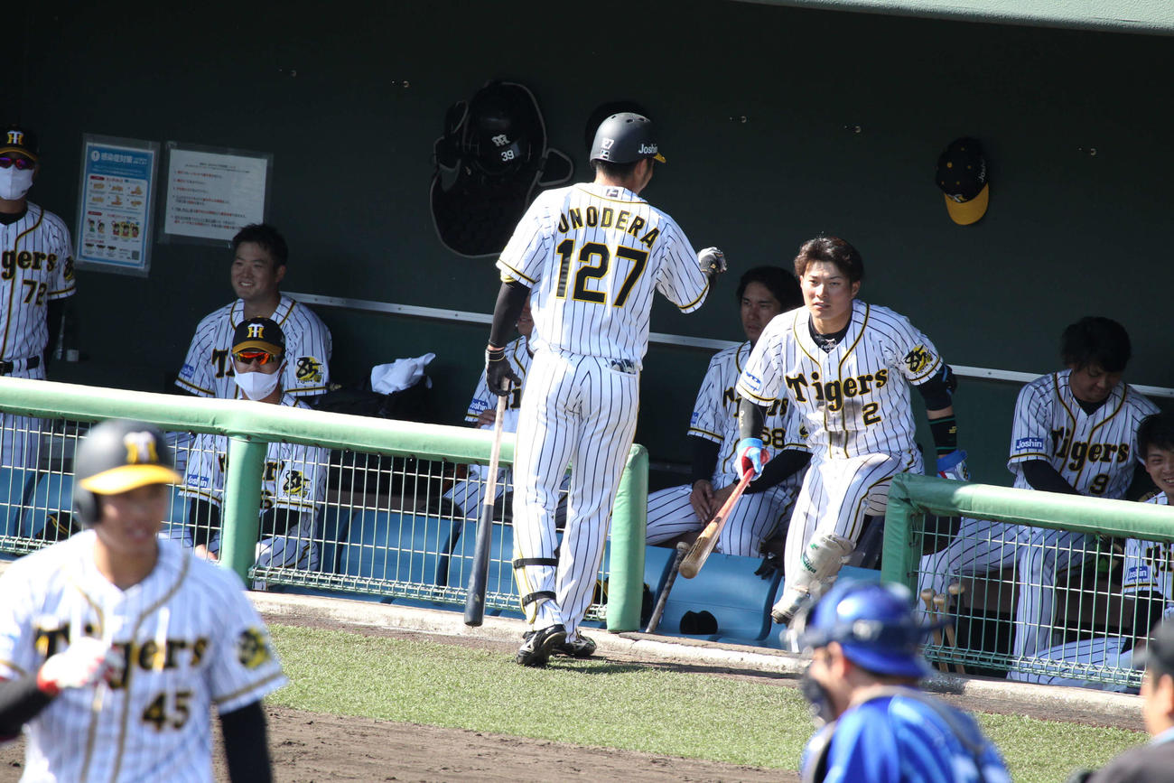 阪神小野寺はフェニックス・リーグDeNA戦で先頭打者本塁打を放つも、自軍ベンチではナインから祝福されなかった（撮影・只松憲）