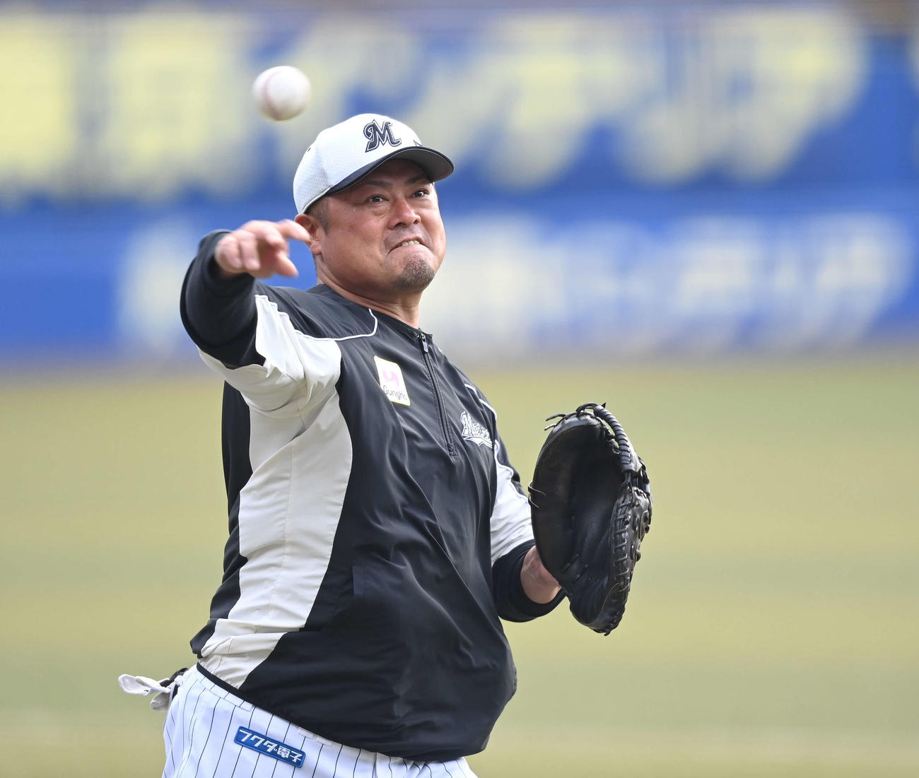 試合前練習を行うロッテ細川（撮影・鈴木みどり）