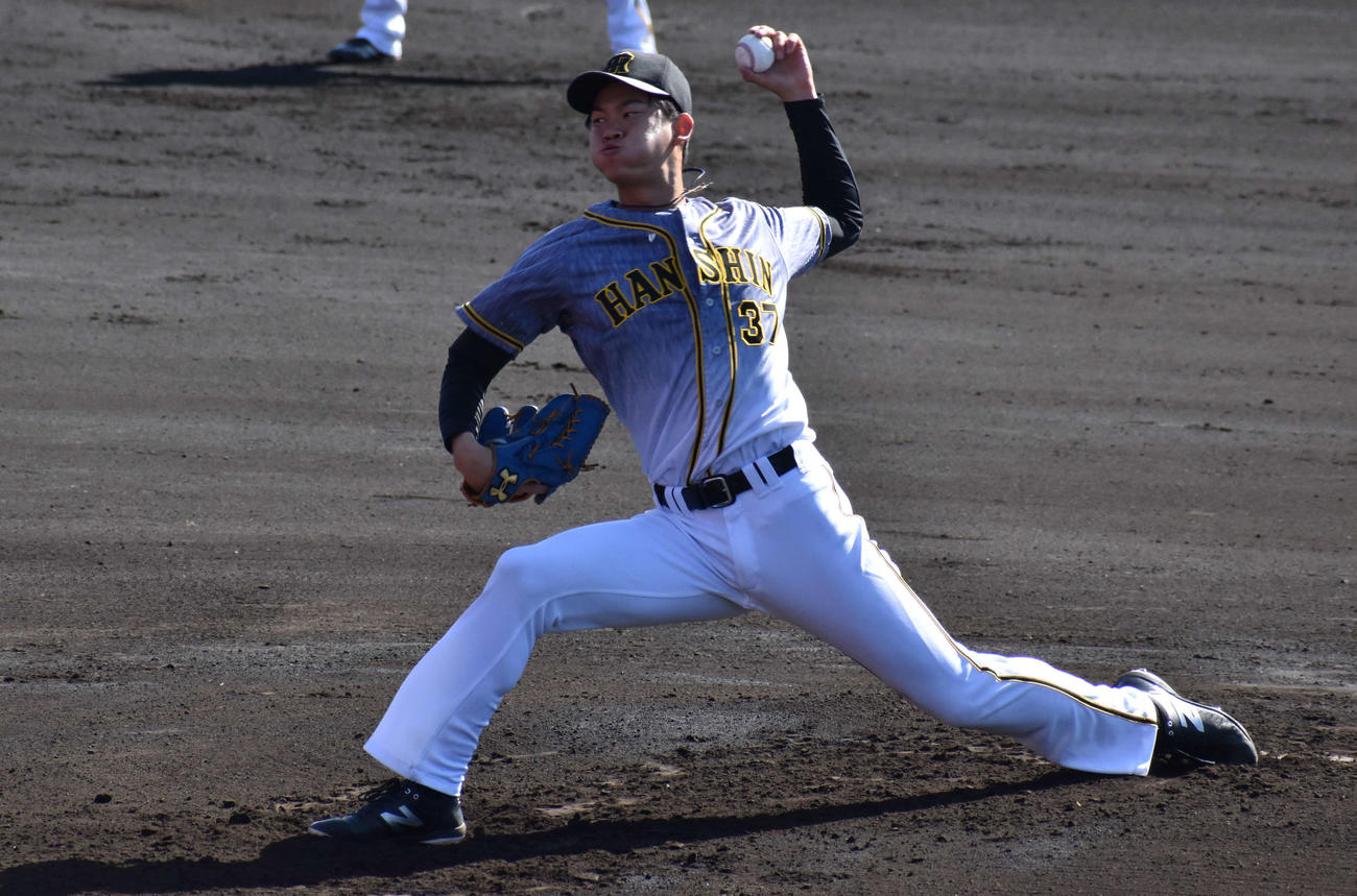 フェニックス・リーグのロッテ戦に先発した阪神及川（撮影・只松憲）