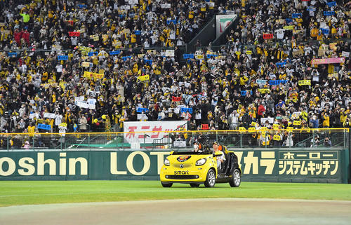 阪神対巨人　引退試合でファンの歓声を浴びながら登場する藤川（撮影・上田博志）