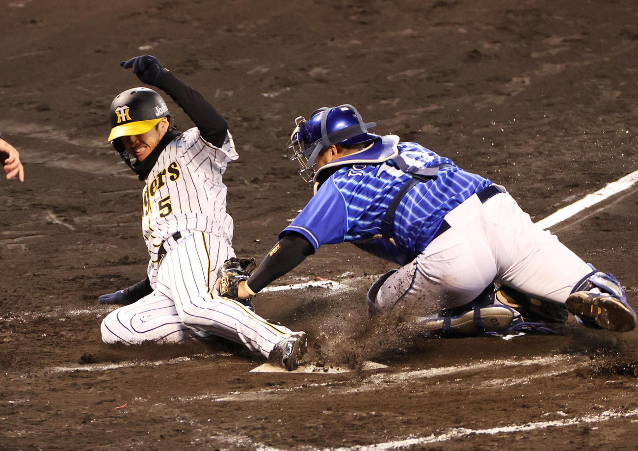 阪神対DeNA　8回裏阪神1死三塁、陽川の二ゴロで三塁走者近本が本塁突入もアウトとなる、捕手戸柱（撮影・清水貴仁）