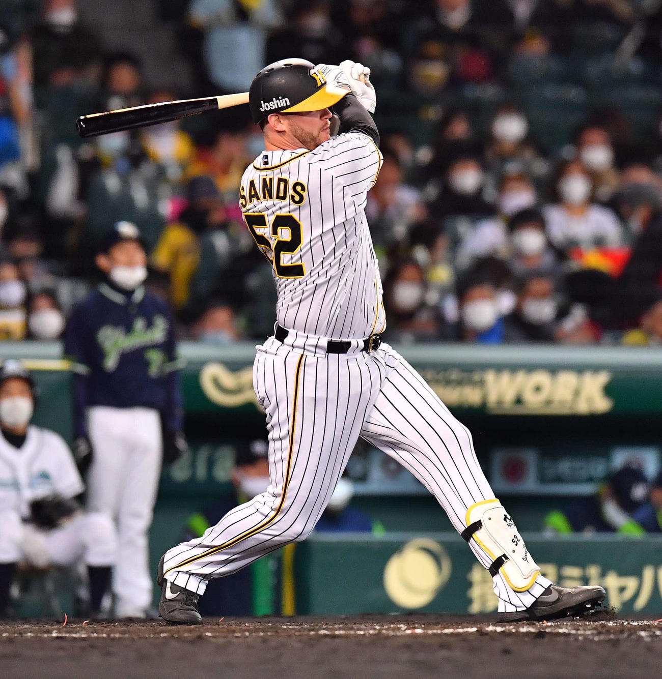 阪神サンズ（20年11月5日撮影）
