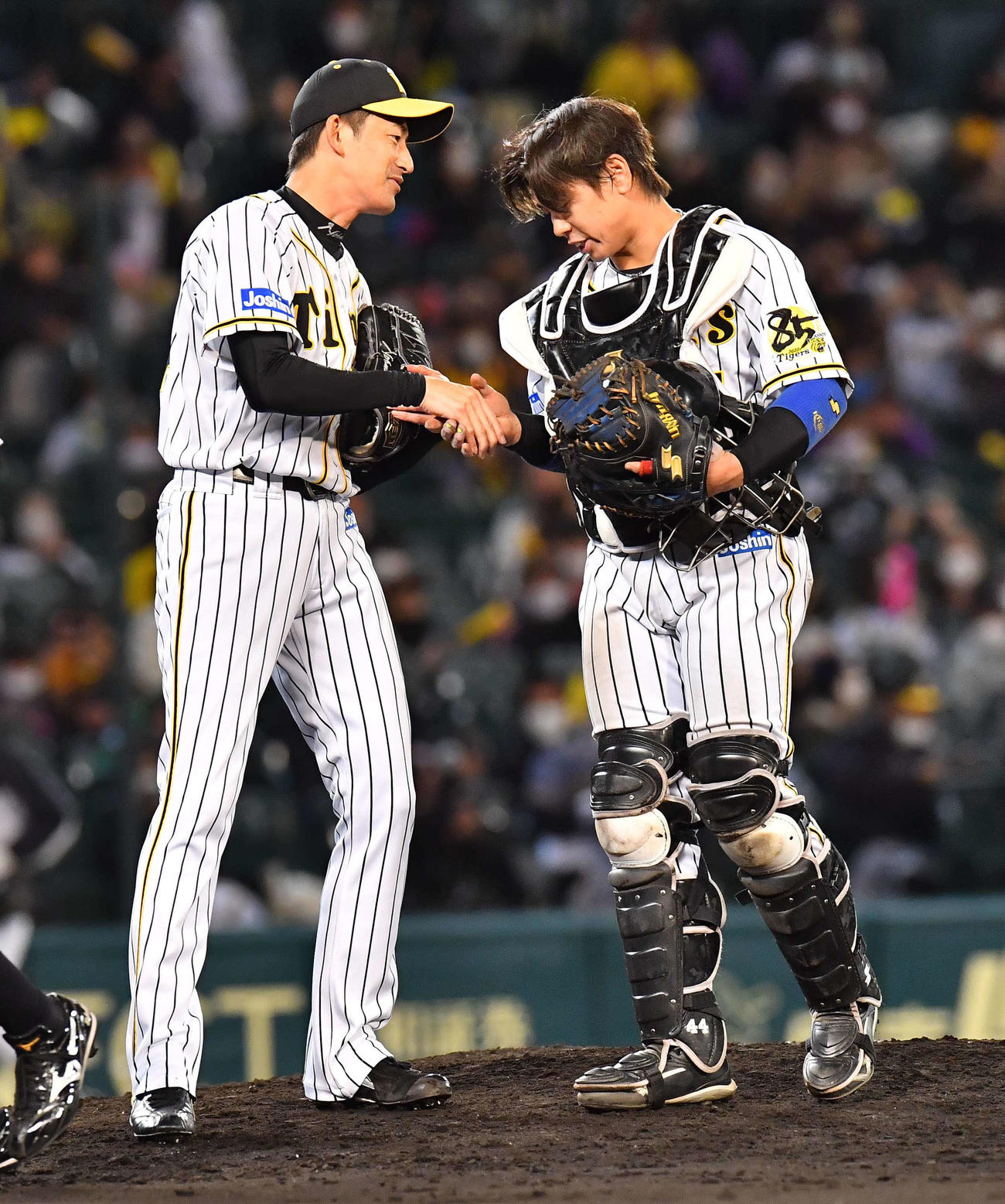 阪神対DeNA　タイガース最後の投球を終え梅野隆太郎（右）と握手を交わす能見篤史（撮影・上田博志）