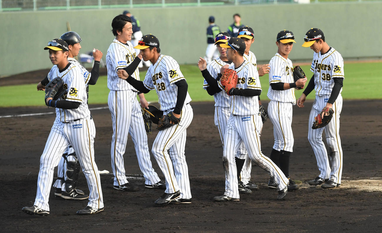 阪神対ヤクルト　ヤクルトに勝利、喜ぶ阪神ナイン（撮影・前岡正明）