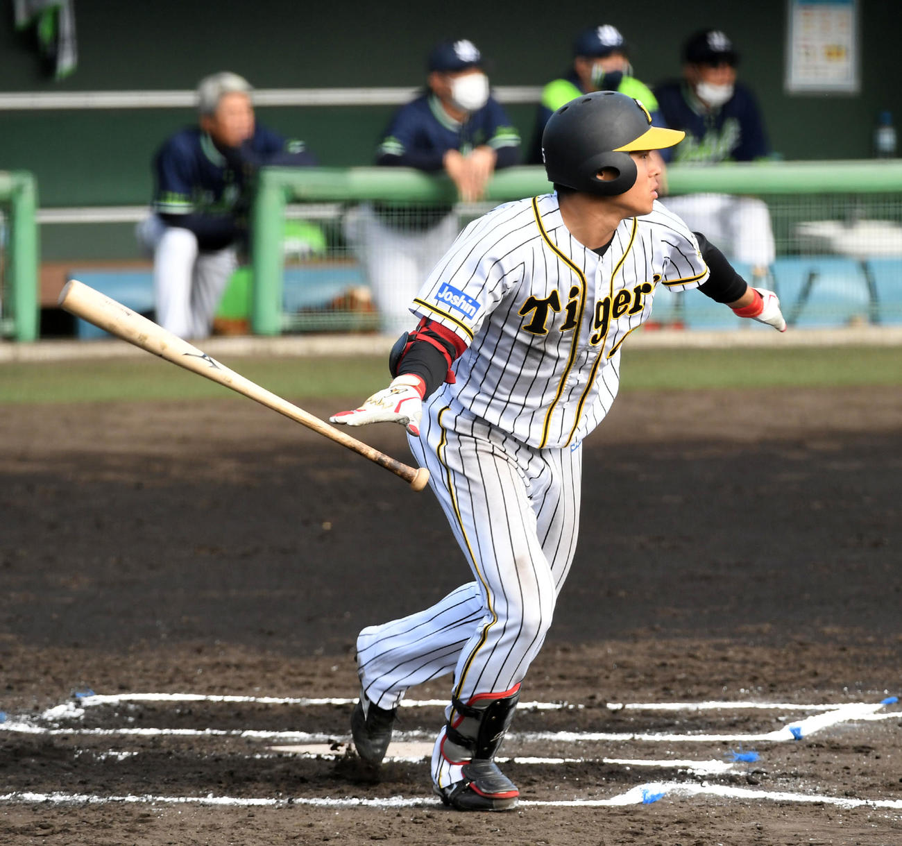 阪神対ヤクルト　6回裏阪神1死二塁、遠藤は左前適時打を放つ（撮影・前岡正明）