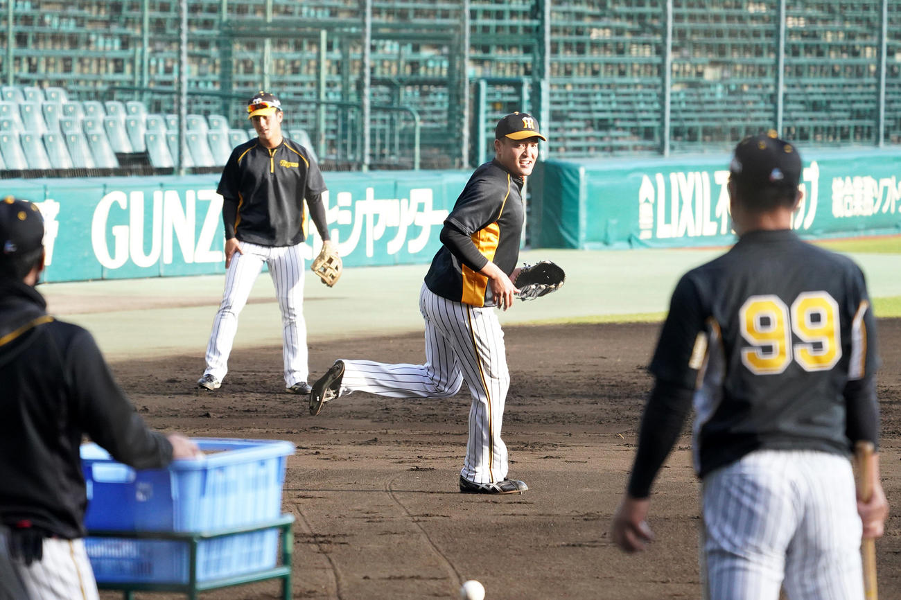 秋季練習初日、井上ヘッドコーチのノックを受ける秋山拓巳（撮影・清水貴仁）