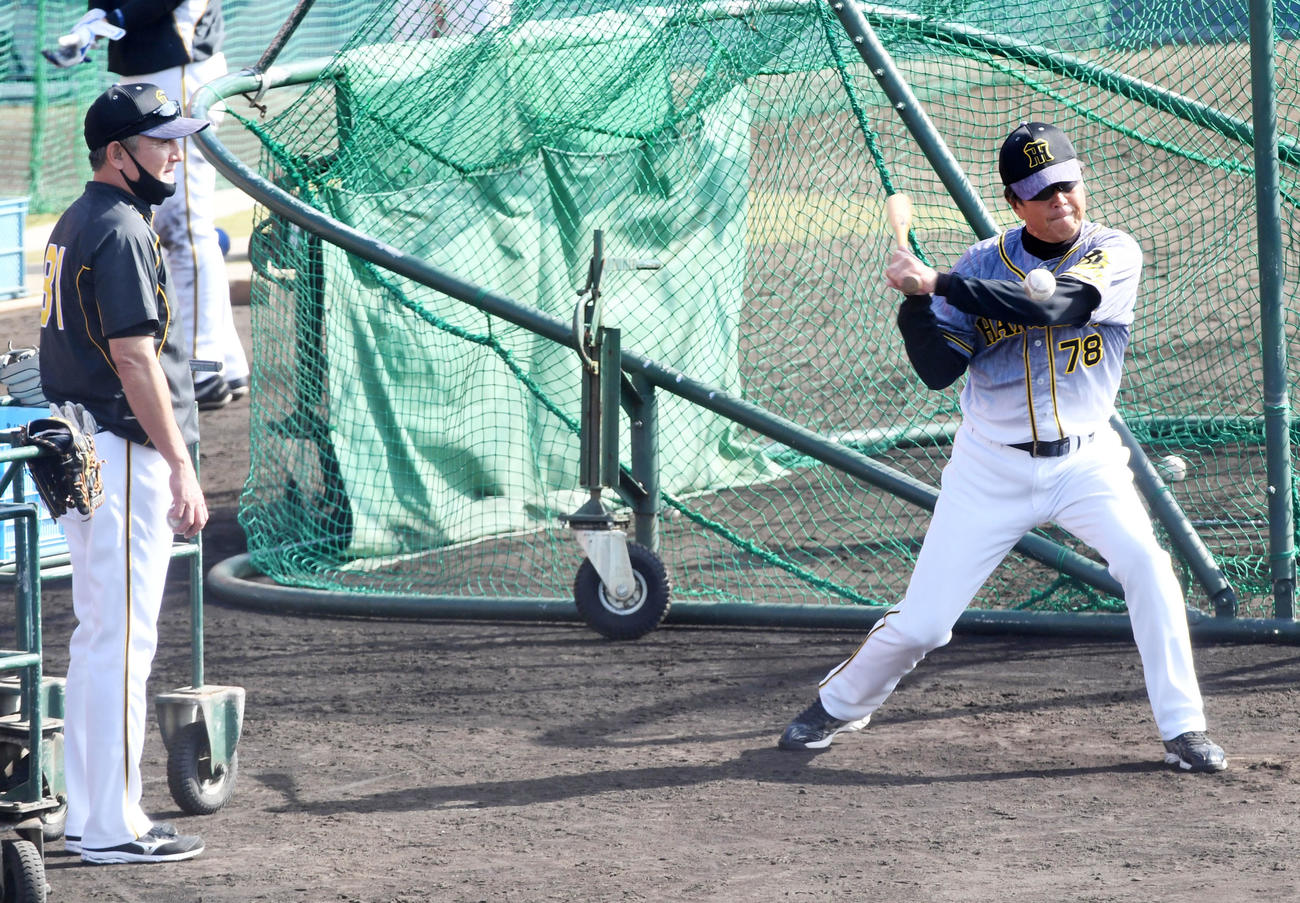 日本ハム対阪神　フェニックス・リーグに合流した清水コーチ（左）は平田2軍監督とノックを行う（撮影・前岡正明）