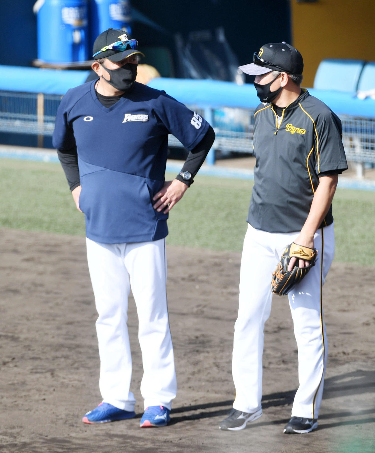 日本ハム対阪神　フェニックス・リーグに合流、荒木2軍監督（左）と話す清水コーチ（撮影・前岡正明）