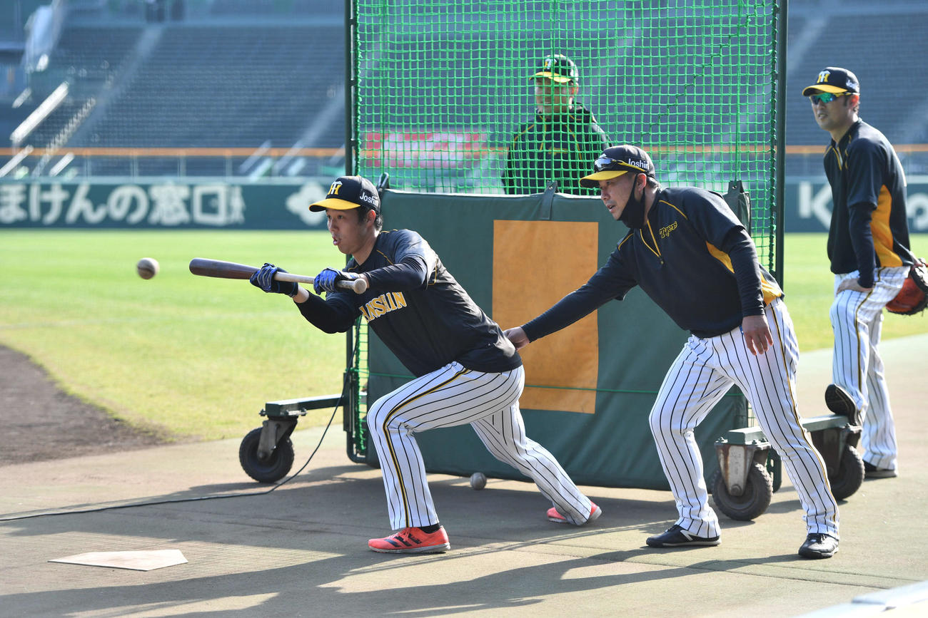青柳晃洋（左）にバントの指導を行う久慈照嘉内野守備走塁コーチ、後方左は秋山拓巳、右は金村曉投手コーチ（撮影・岩下翔太）