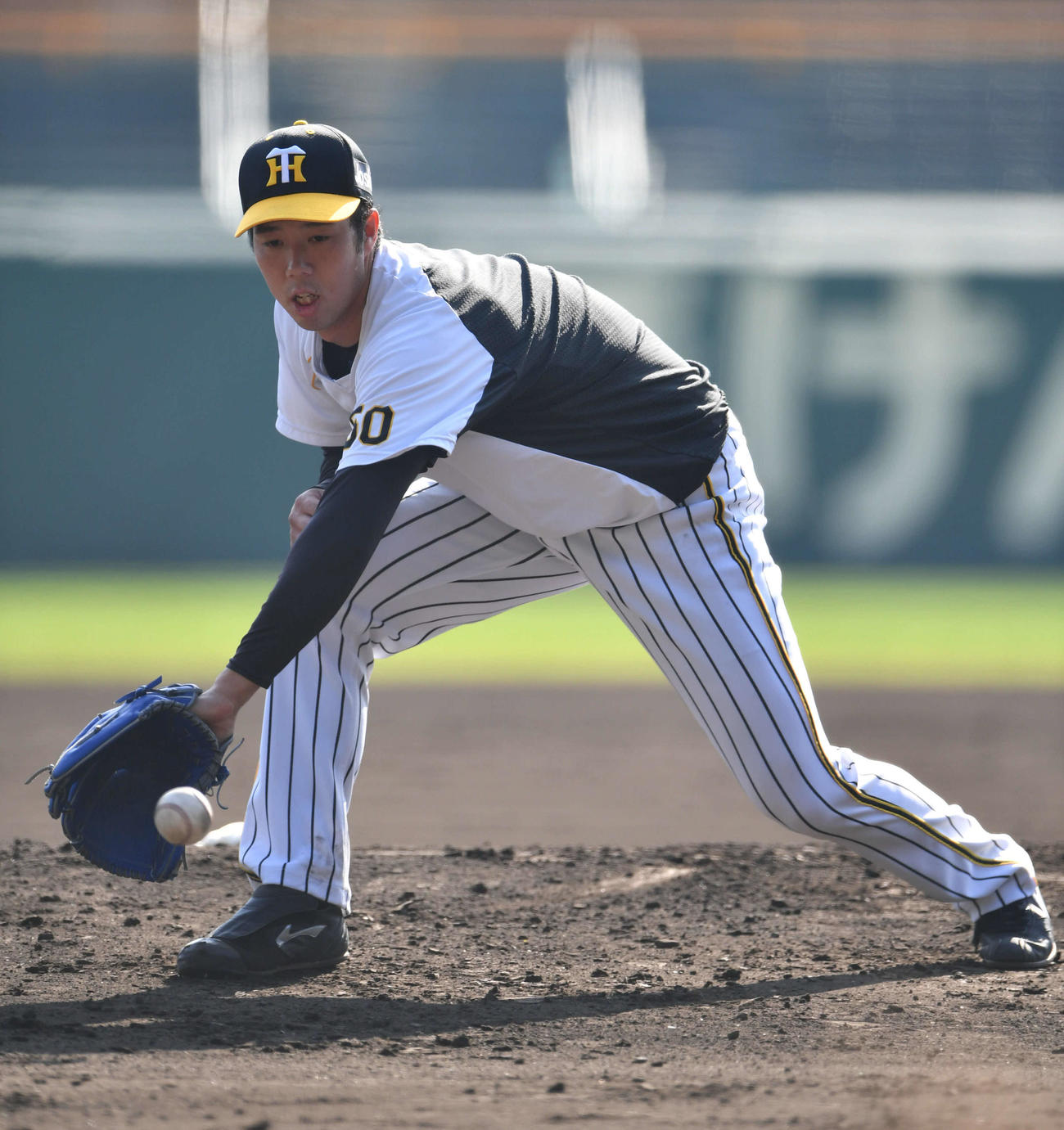 投内連係を行う青柳（撮影・岩下翔太）