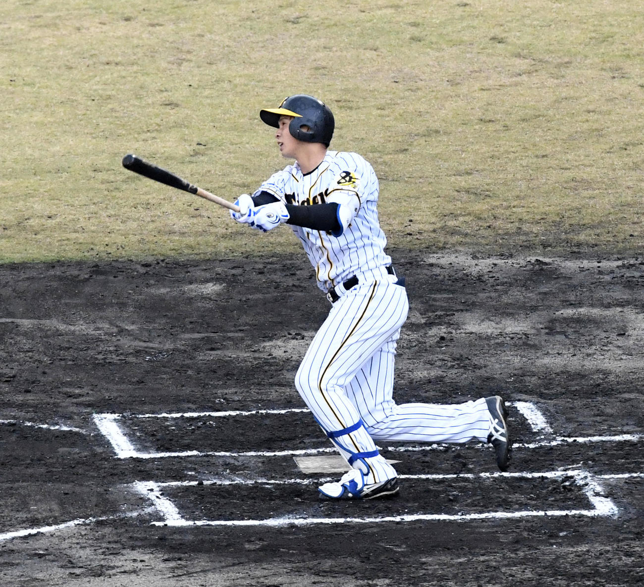 フェニックス・リーグ阪神対楽天　6回裏阪神無死、井上は左越え本塁打を放つ（撮影・前岡正明）