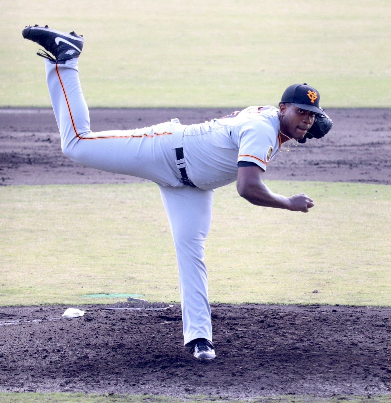 みやざきフェニックス・リーグ　巨人対DeNA　力投する巨人ビエイラ（撮影・久永壮真）