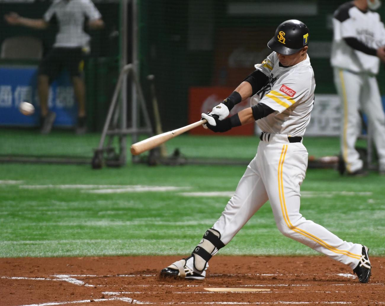 シート打撃で和田毅から右越え本塁打を放つ長谷川勇也（撮影・今浪浩三）