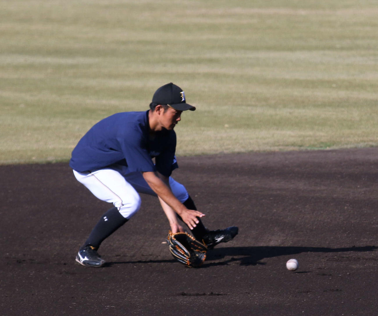 鎌ケ谷で秋季練習に参加し、特守を受ける日本ハム石井（撮影・木下大輔）