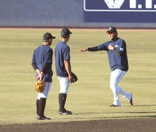 日本ハム石井が志願の特守 いい方向にいっている プロ野球写真ニュース 日刊スポーツ
