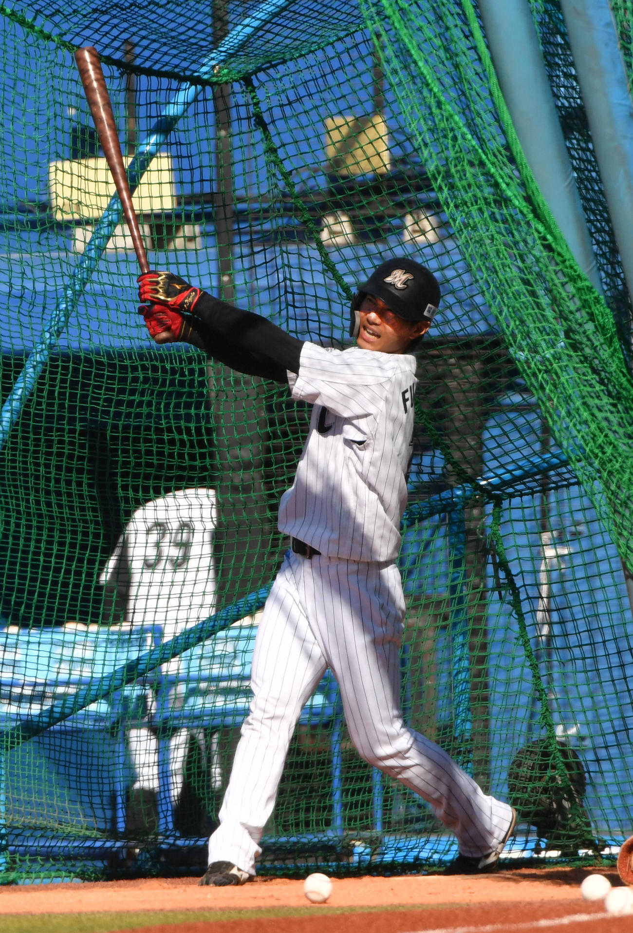 秋季練習初日からフリー打撃で汗を流すロッテ藤原（撮影・柴田隆二）