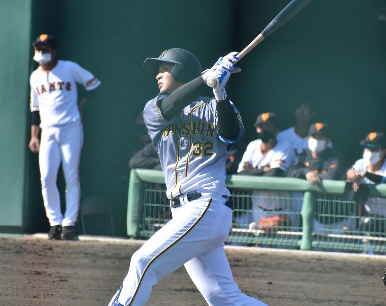 フェニックス・リーグ阪神対巨人　9回に中前打を放つ阪神井上（撮影・只松憲）