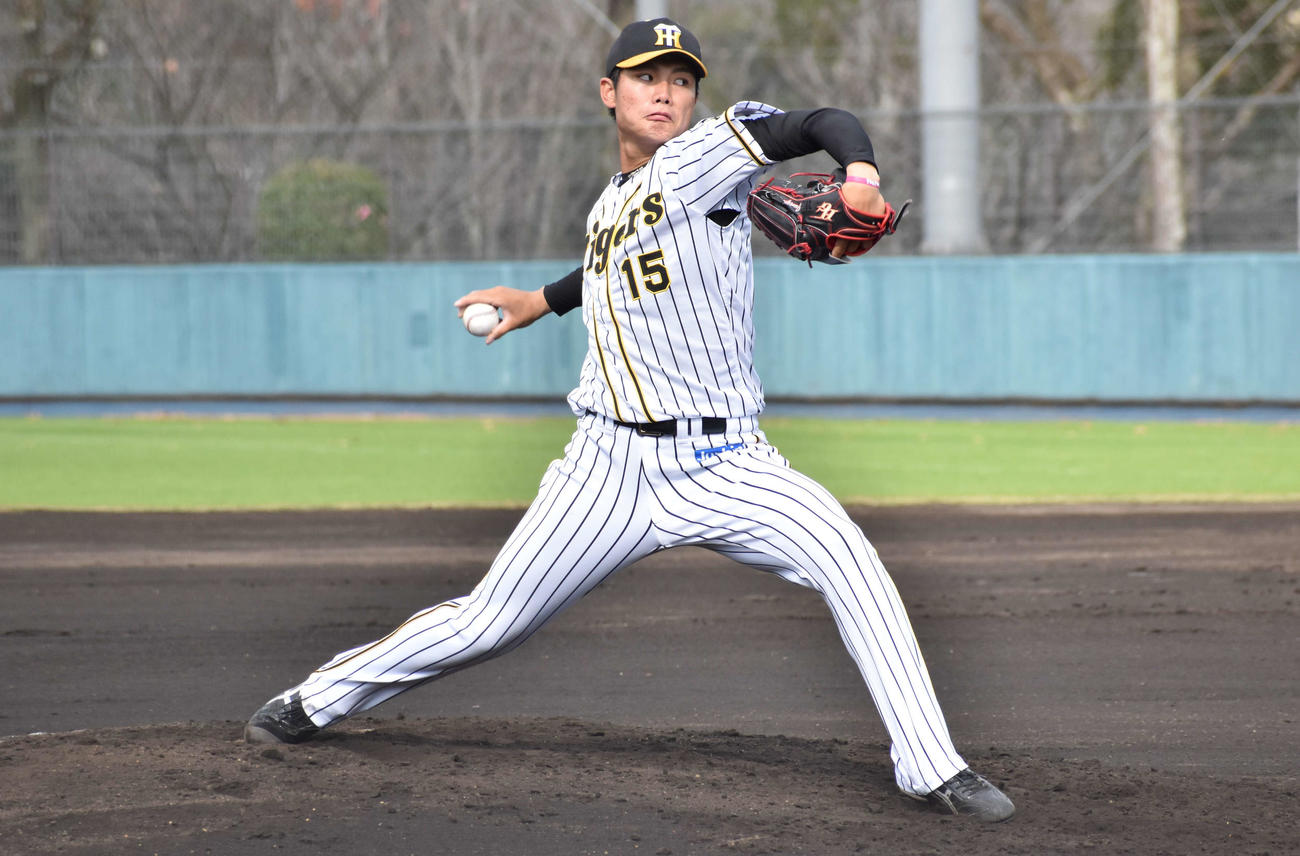 フェニックスリーグ阪神対楽天　阪神先発の西純矢（撮影・只松憲）