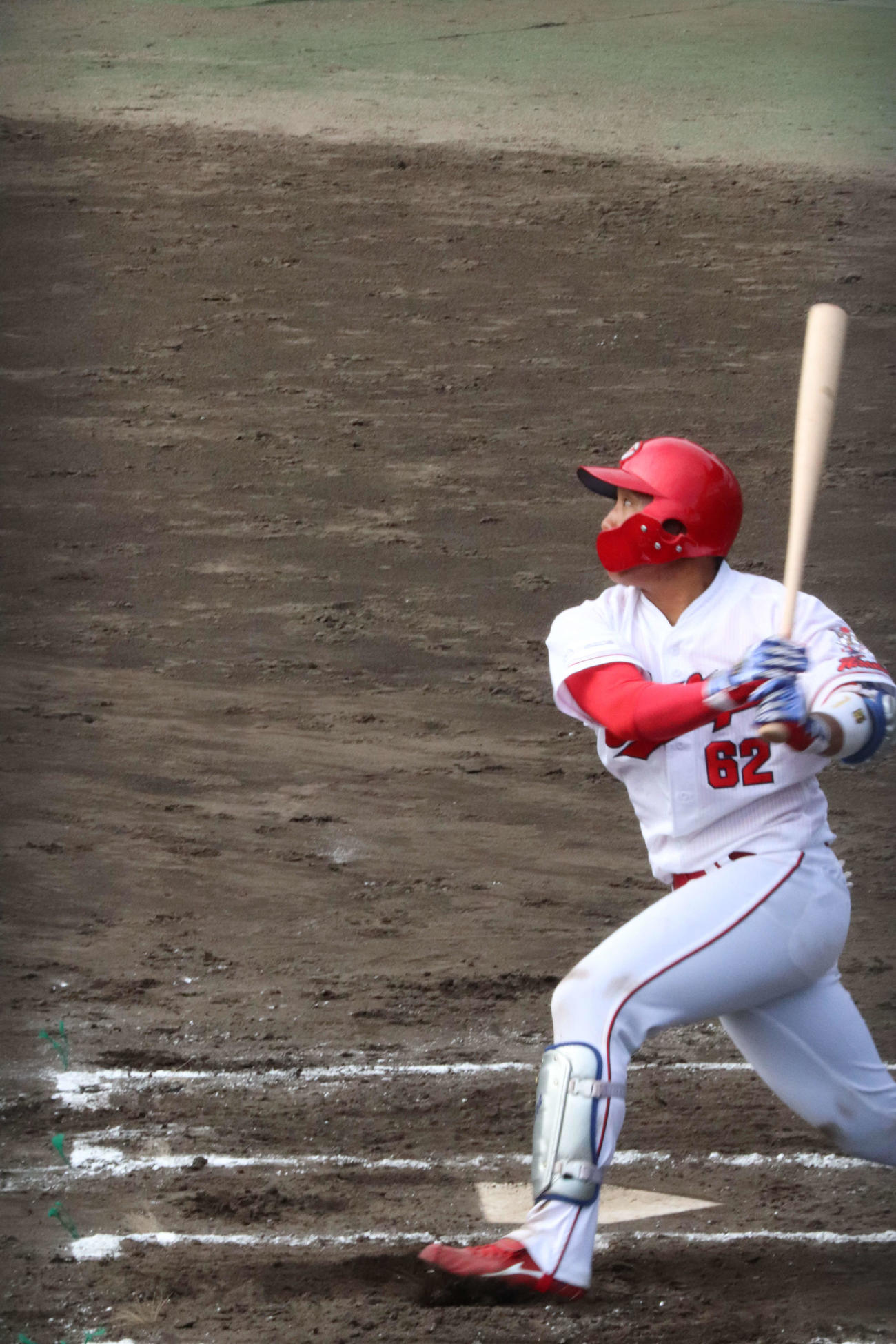 「みやざきフェニックスリーグ」日本ハム戦に出場した広島石原貴規捕手（撮影・前原淳）