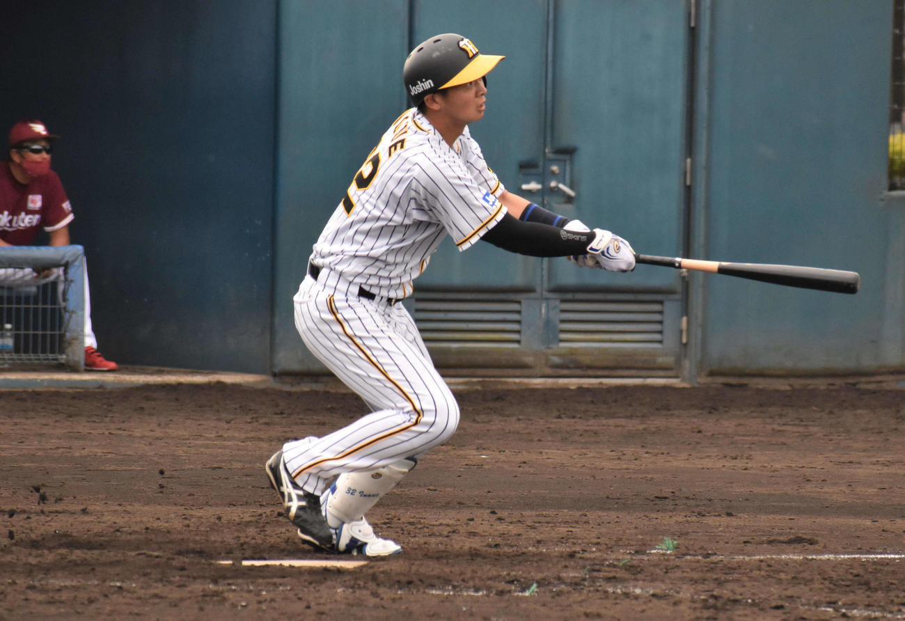 フェニックスリーグ阪神対楽天　4回裏阪神無死、井上は、バックスクリーンへ勝ち越し本塁打を放つ（撮影・只松憲）