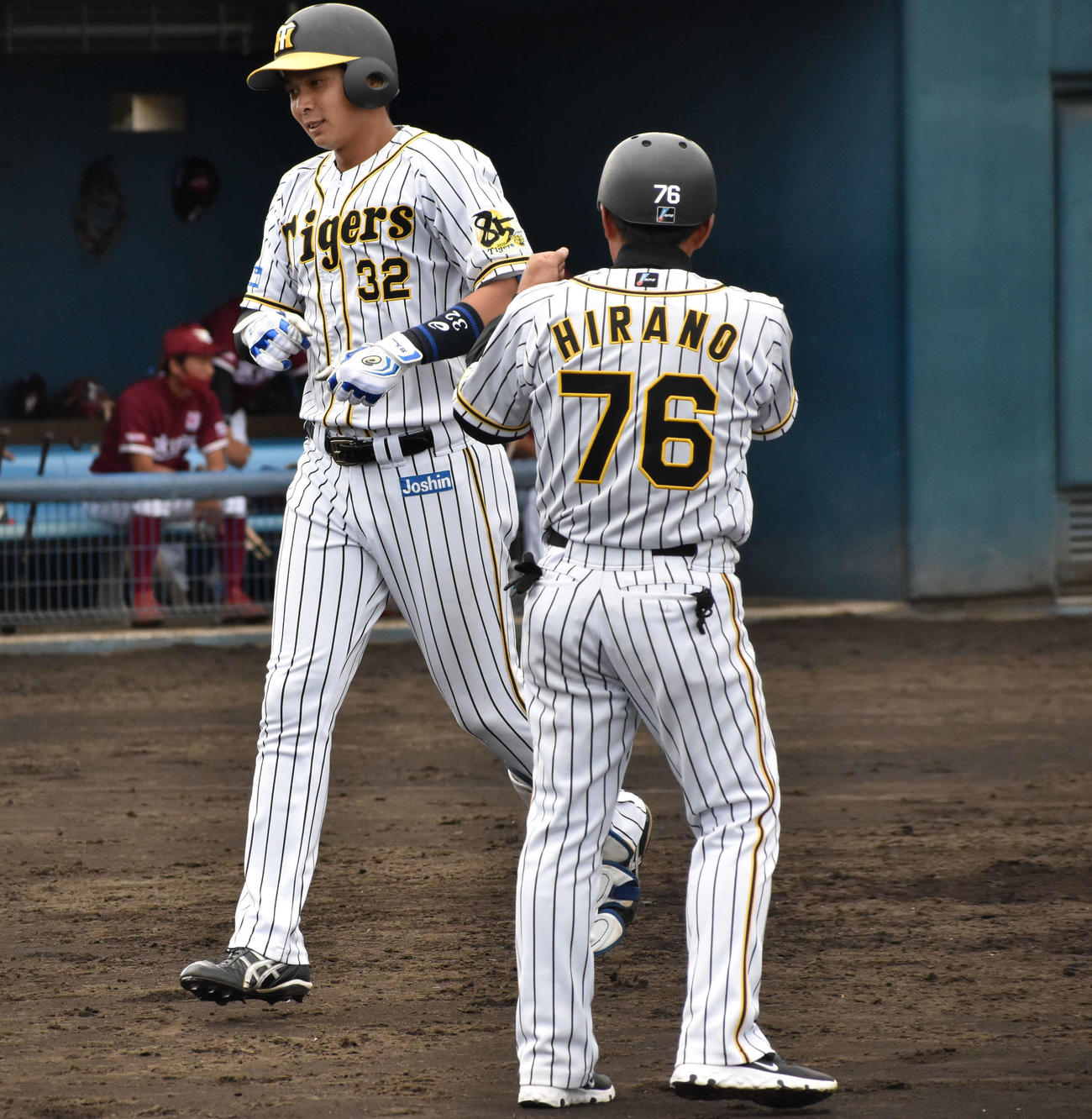 フェニックスリーグ阪神対楽天　4回裏阪神無死、井上はバックスクリーンへ勝ち越し本塁打を放ち、平野コーチとエアタッチ（撮影・只松憲）