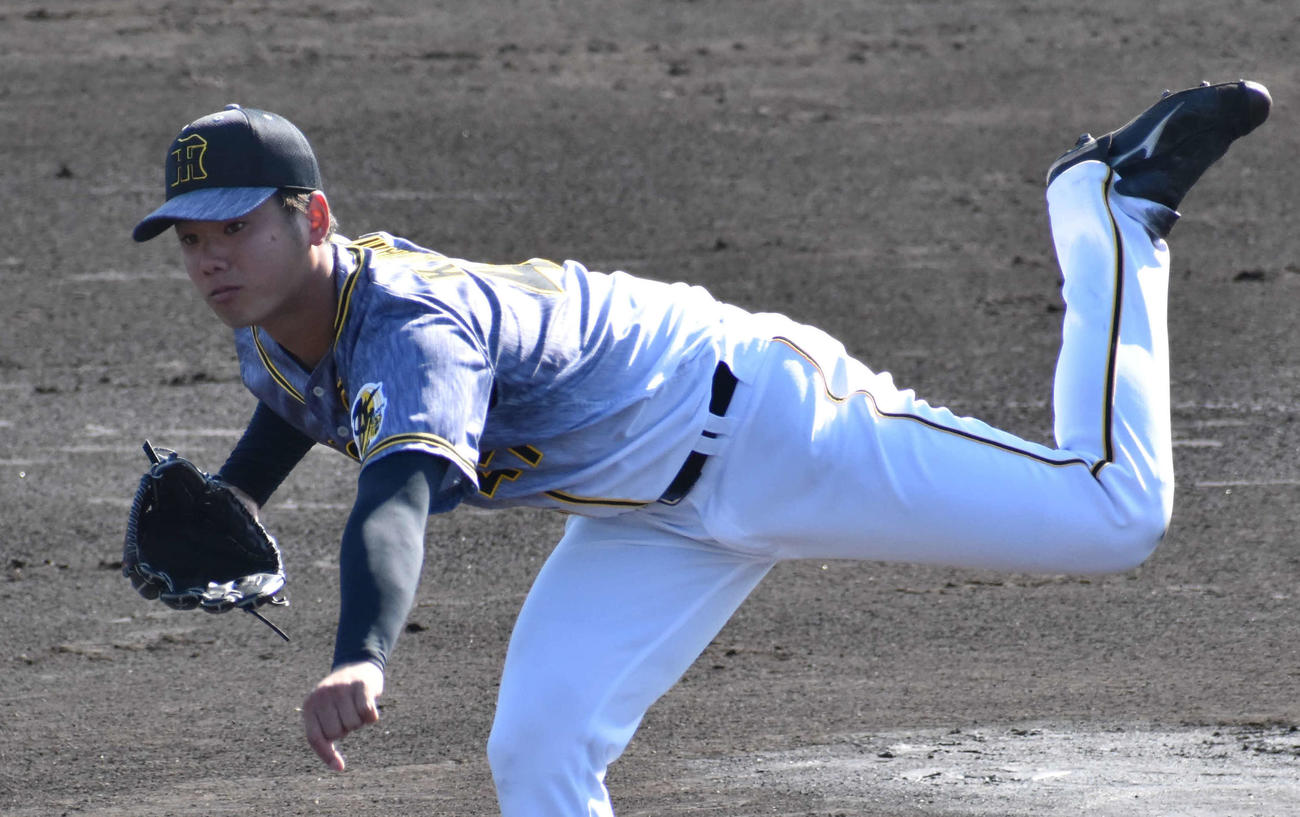 フェニックスリーグのロッテ戦に先発し、5回無失点と好投した川原（撮影・只松憲）