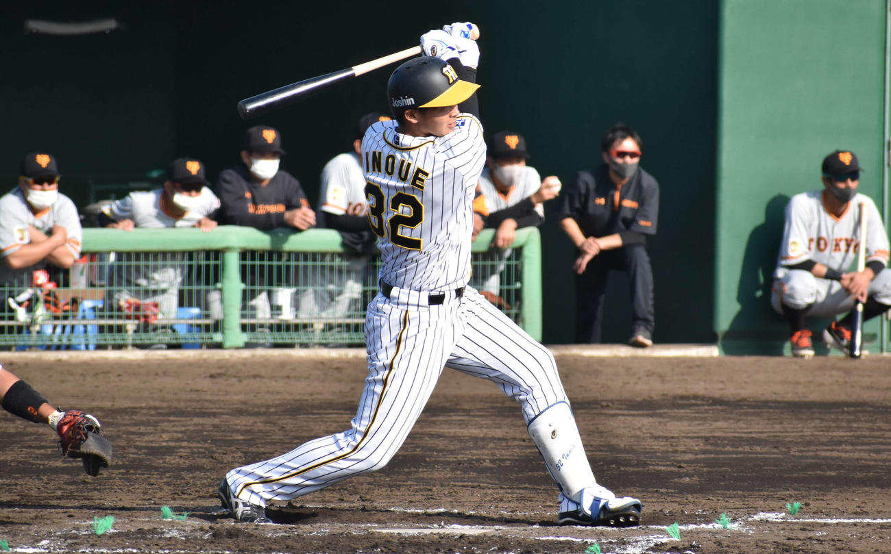 フェニックスリーグ阪神対巨人　6回裏阪神1死満塁、井上は中越え2点適時二塁打を放つ（撮影・只松憲）