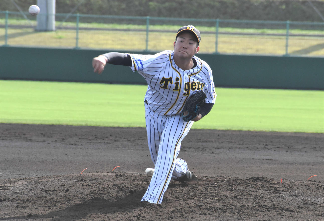 フェニックスリーグ阪神対巨人　6回途中1失点と好投した阪神斎藤（撮影・只松憲）