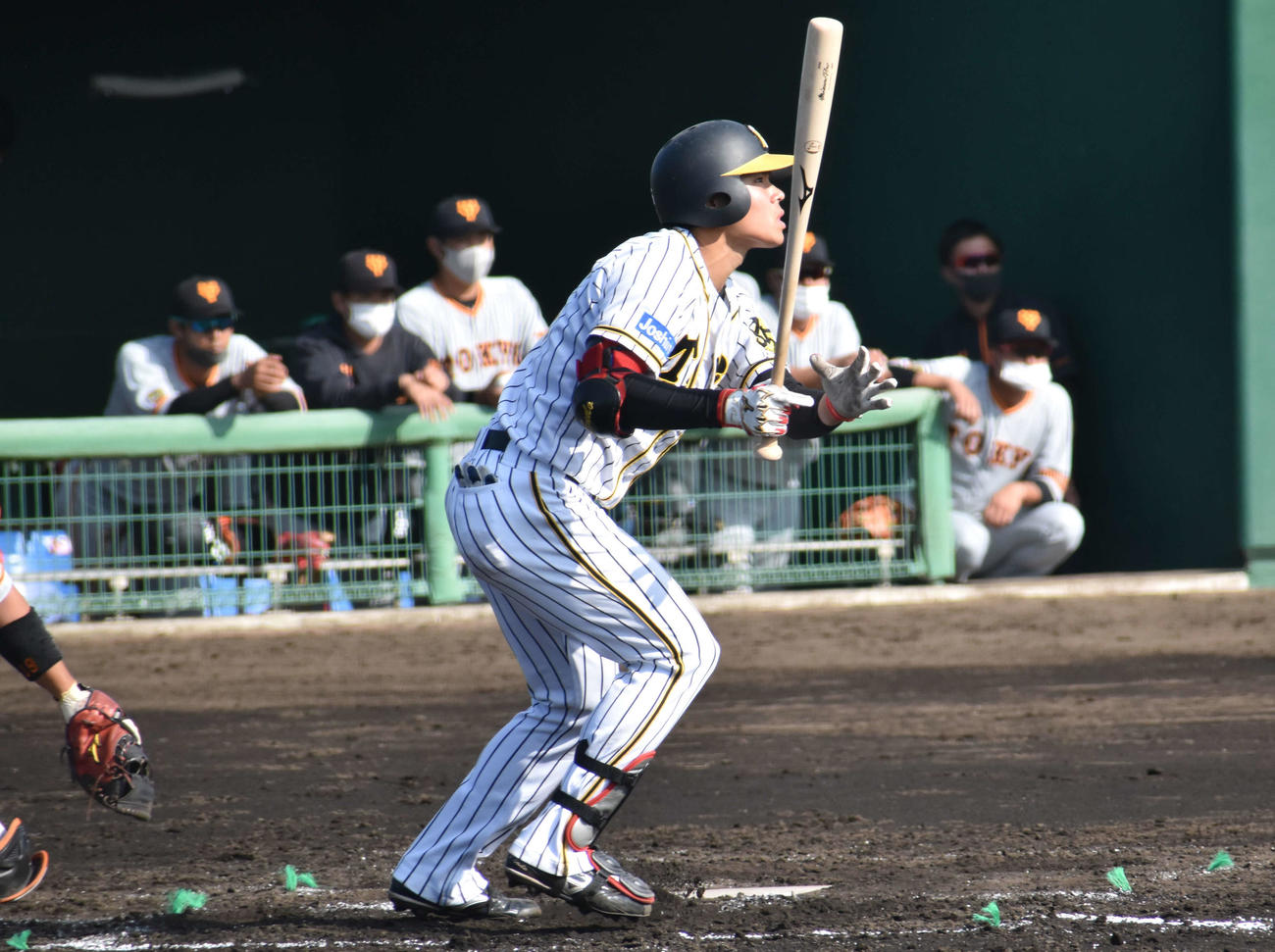 フェニックスリーグ阪神対巨人　3回に右前打を放つ阪神遠藤（撮影・只松憲）
