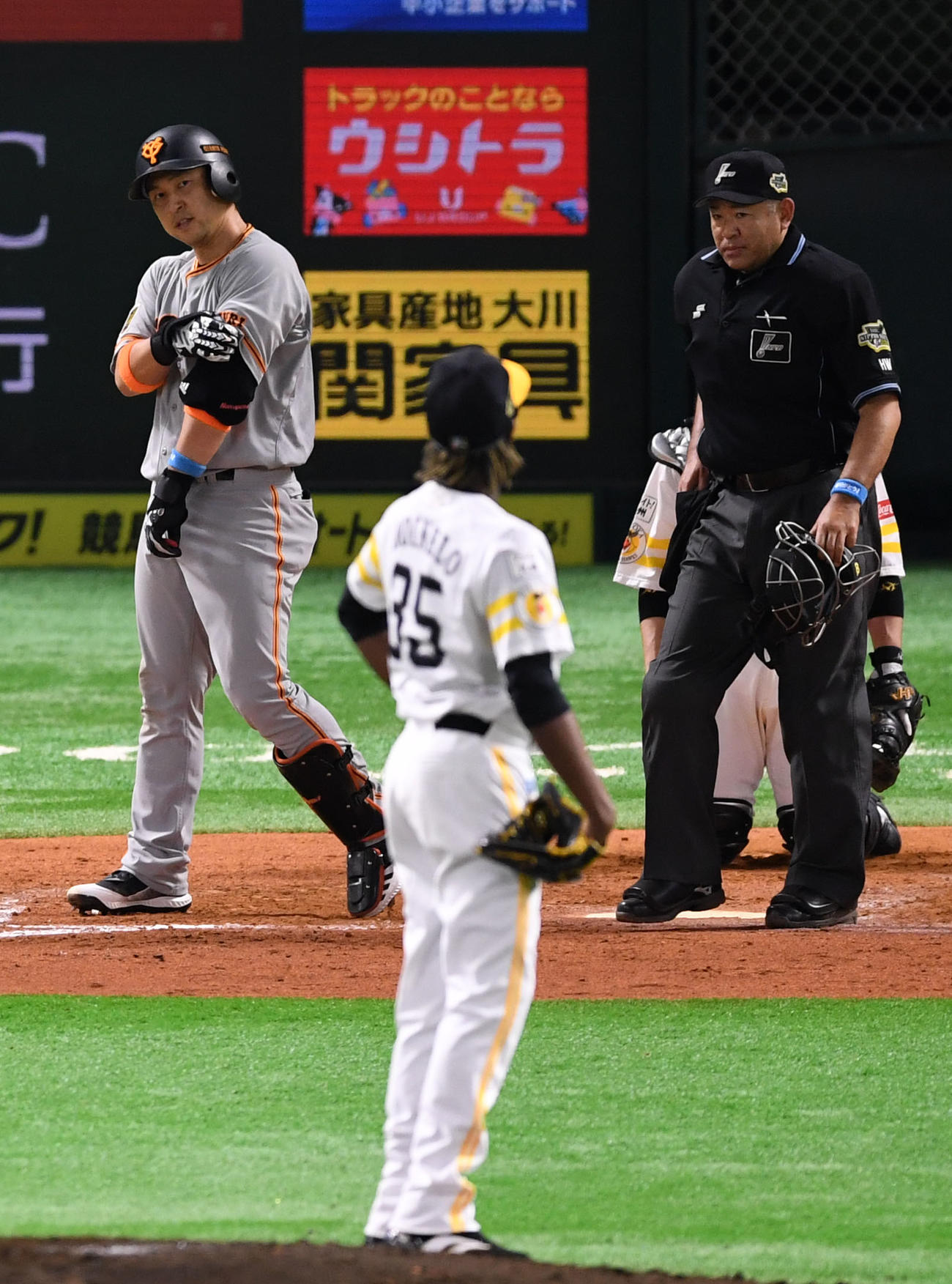 ソフトバンク対巨人　8回表巨人1死、死球を受ける中島（撮影・横山健太）