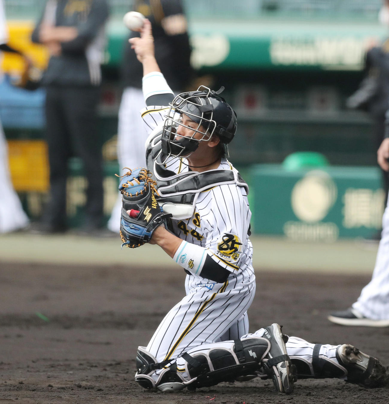 盗塁練習で座ったまま二塁へ送球する阪神梅野（撮影・前田充）