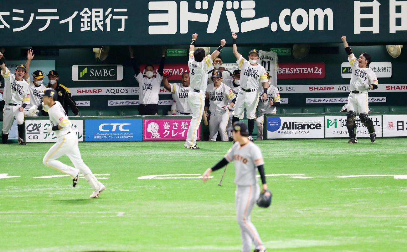 ソフトバンク対巨人　1回裏ソフトバンク1死二塁、柳田は右越え2点本塁打を放ち大盛り上がりするベンチのナインたち（撮影・加藤哉）