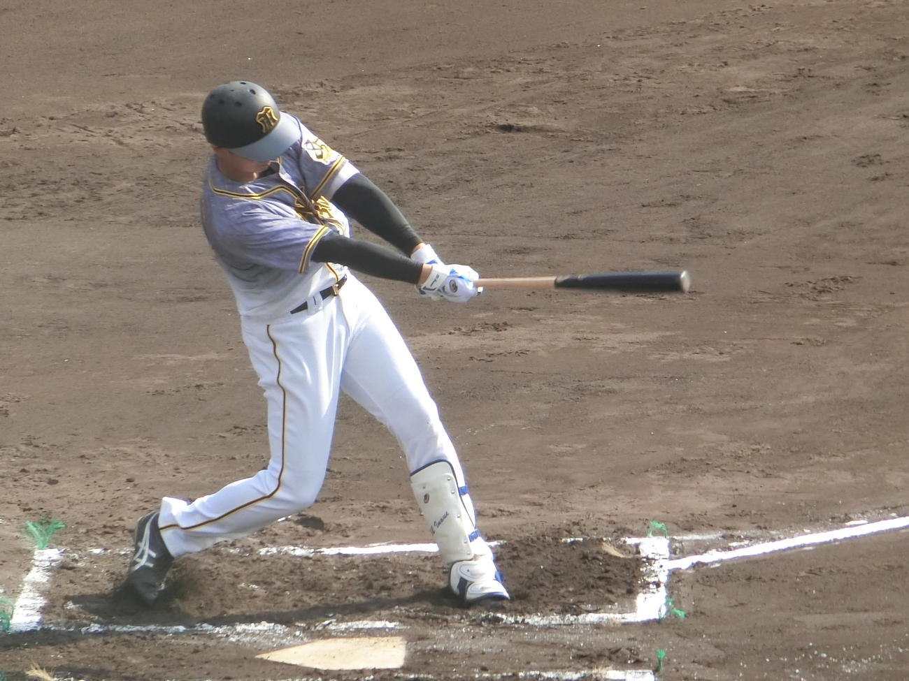 フェニックスリーグ　DeNA戦の1回、井上は中前先制適時打を放つ（撮影・奥田隼人）