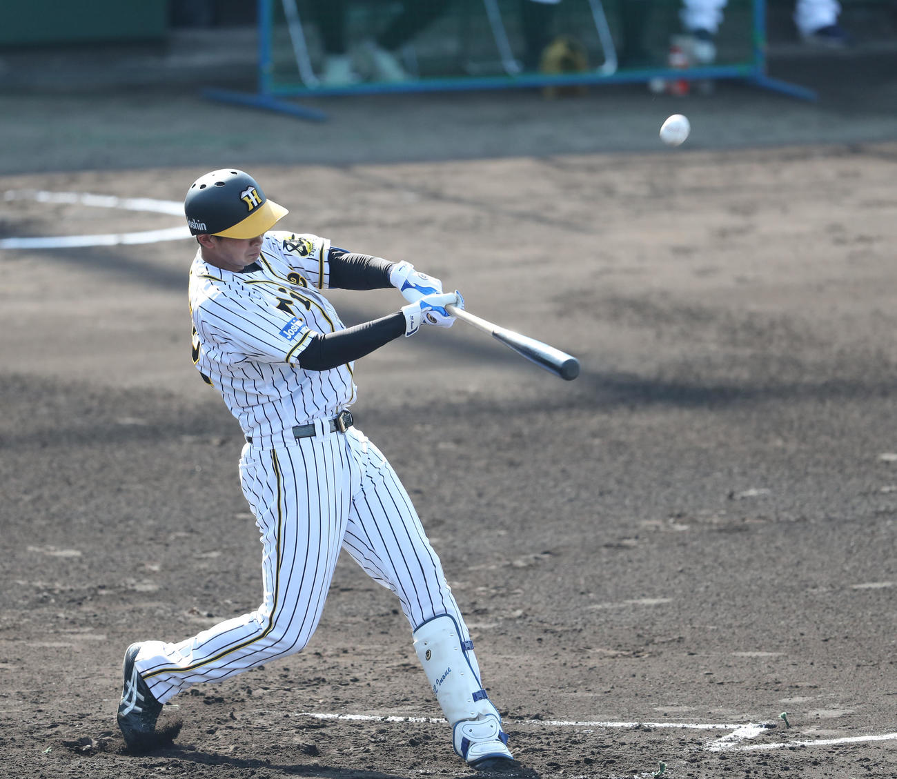 阪神対ヤクルト　2回裏阪神無死、井上広大は左飛に終わる（撮影・梅根麻紀）