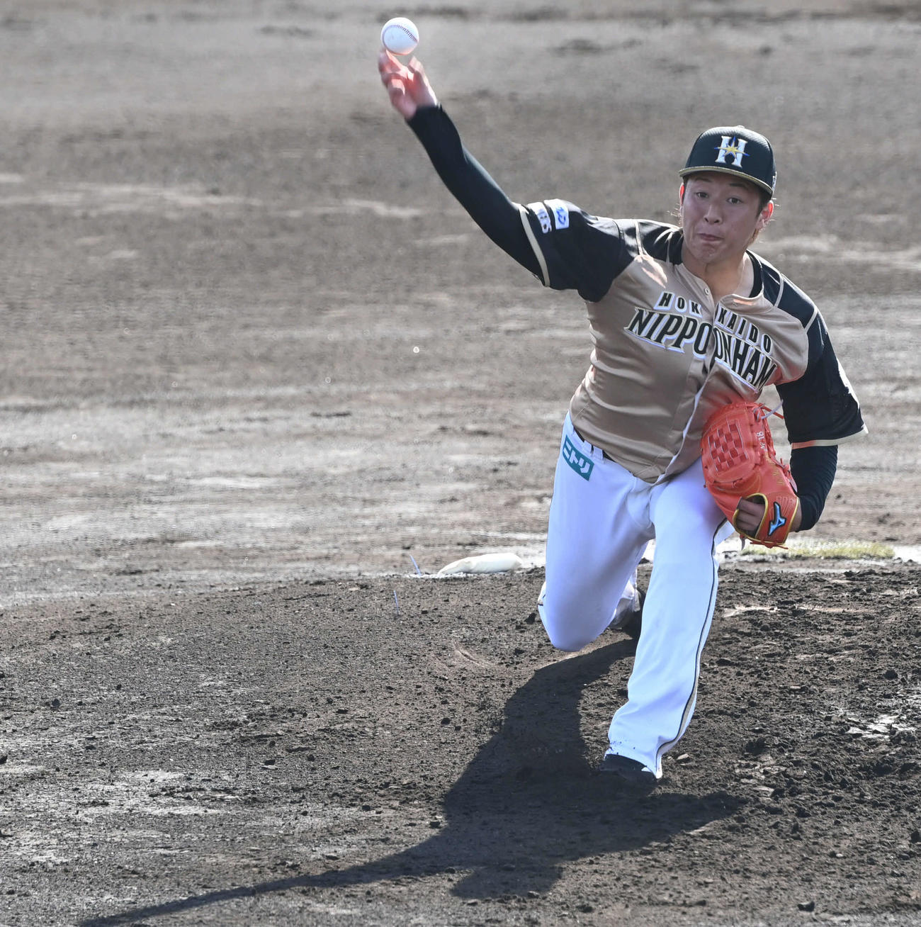 中日対日本ハム　力投する日本ハム吉田輝（撮影・山崎安昭）