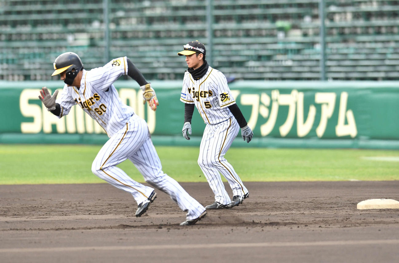 盗塁練習を行う中谷（左）の奥でスタートのタイミングを確認する近本（撮影・岩下翔太）