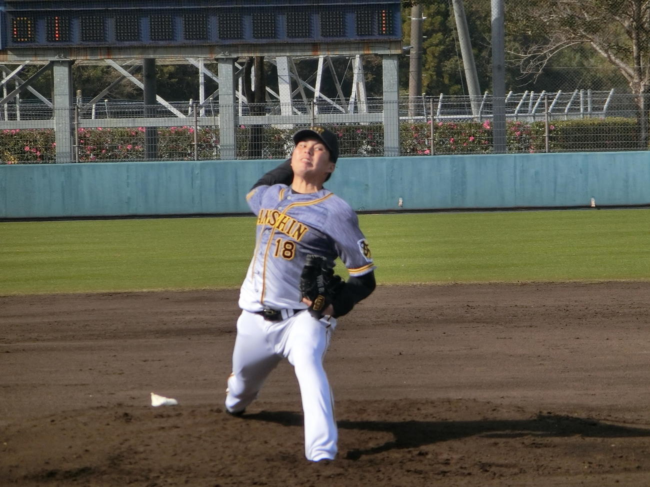 みやざきフェニックス・リーグ日本ハム対阪神　先発した阪神馬場（撮影・奥田隼人）
