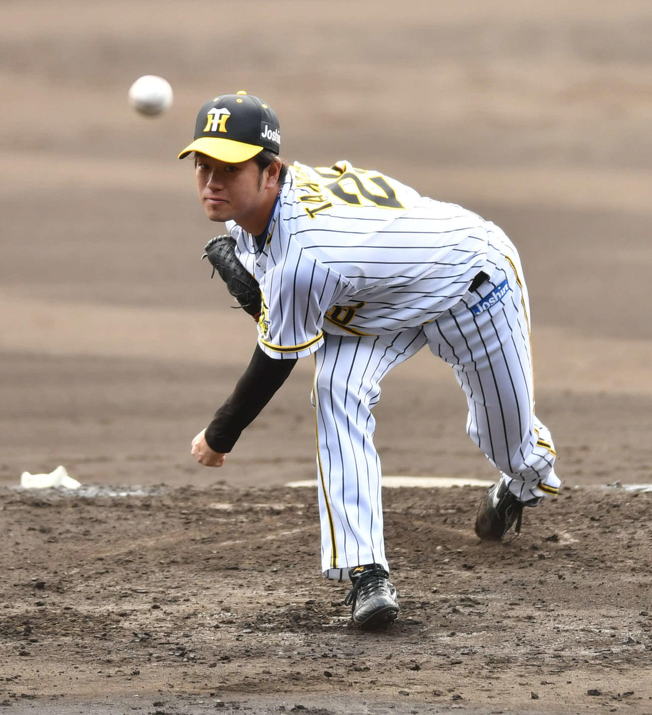 投内連係を行う高橋（撮影・岩下翔太）