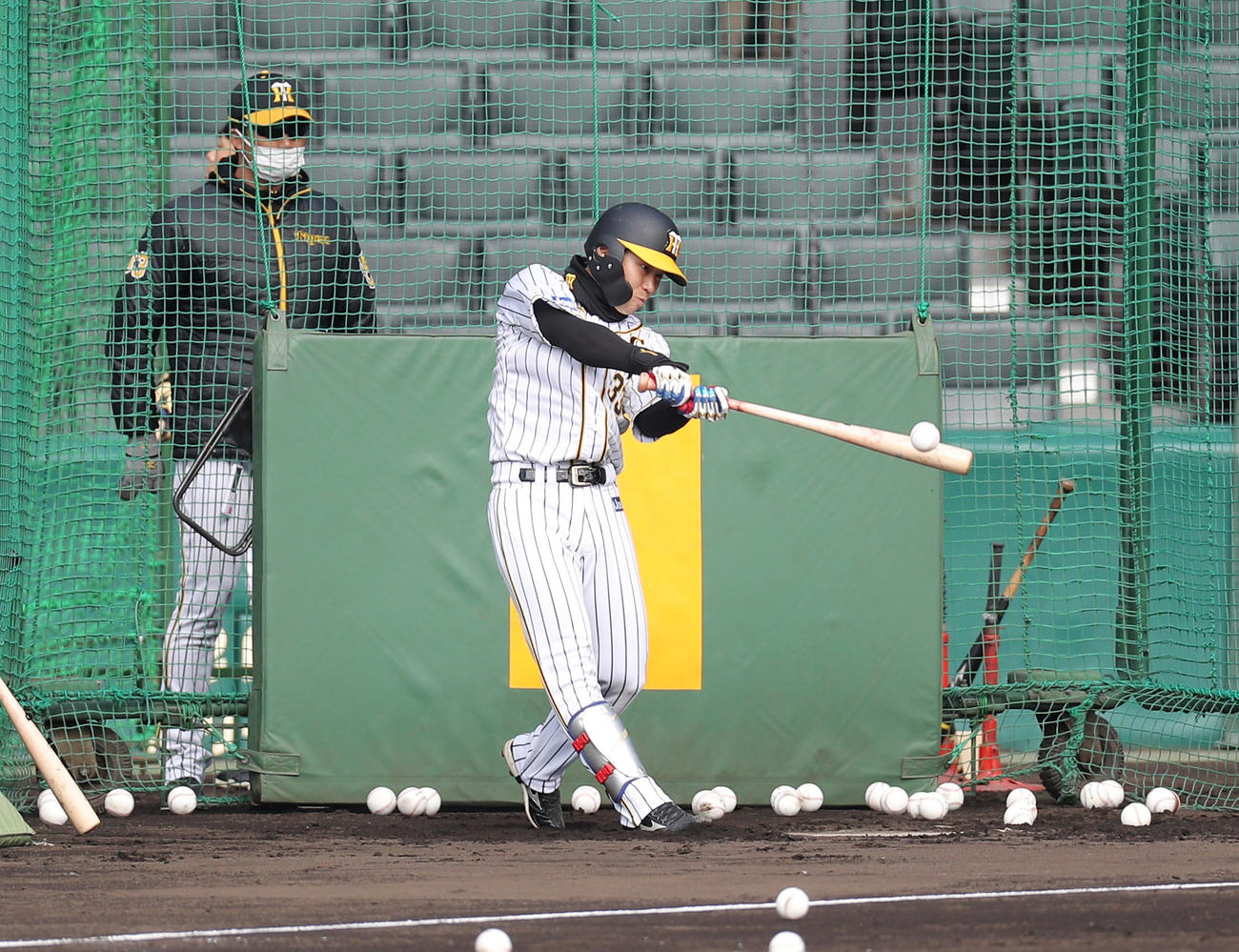 秋季練習最終日、フリー打撃を行う阪神糸原（撮影・前田充）