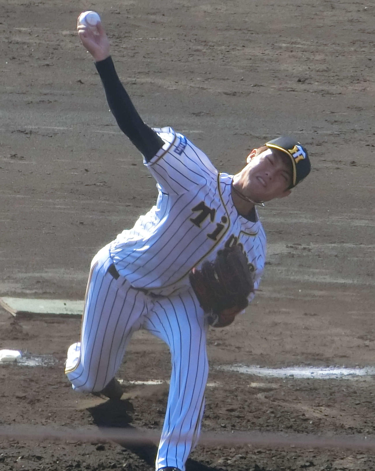 フェニックスリーグの楽天戦に先発した阪神西純（撮影・奥田隼人）