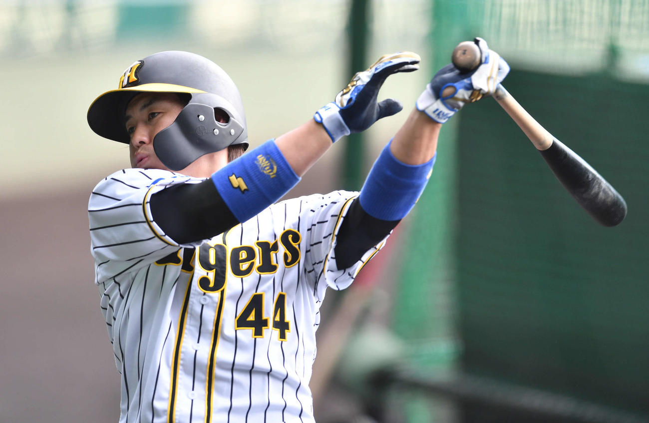 打撃練習を行う梅野（撮影・岩下翔太）