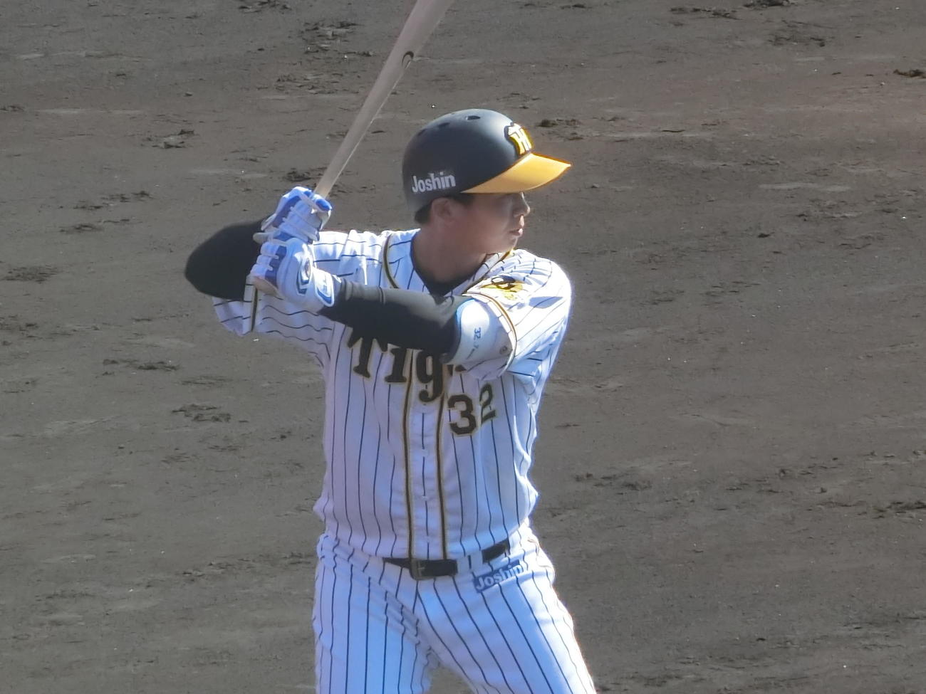 みやざきフェニックス・リーグ阪神対楽天　「4番右翼」で先発した阪神井上（撮影・奥田隼人）