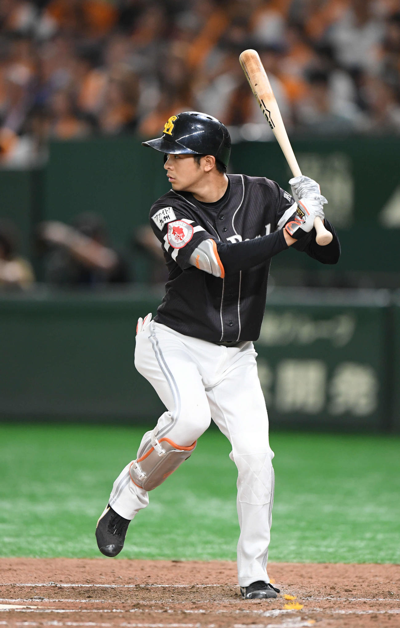 ソフトバンクの川瀬晃（2019年6月22日撮影）