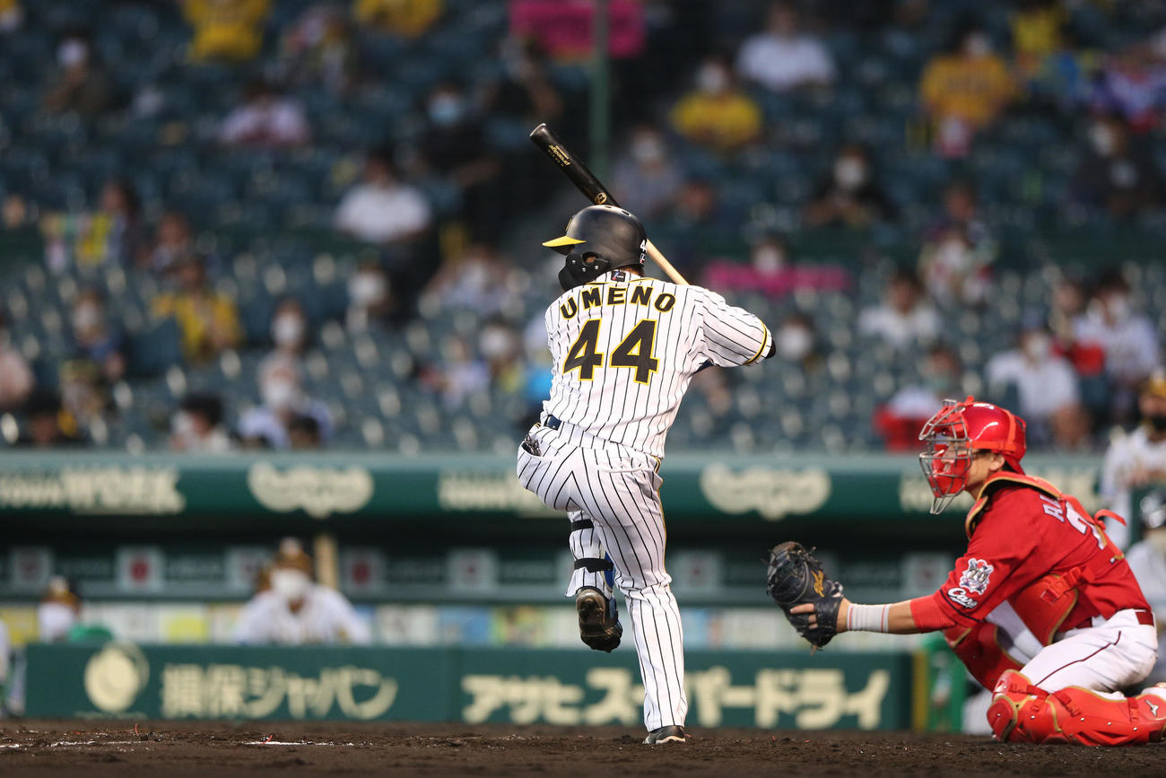阪神梅野（20年7月21日撮影）