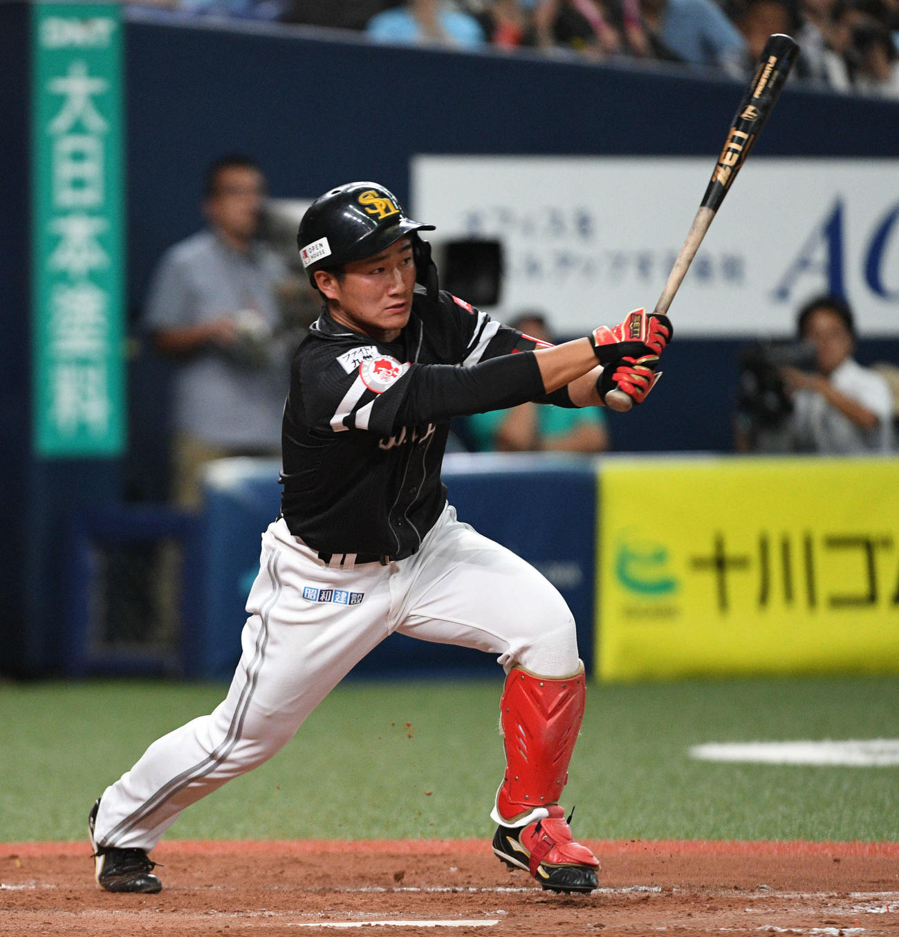 ソフトバンク野村（19年9月撮影）