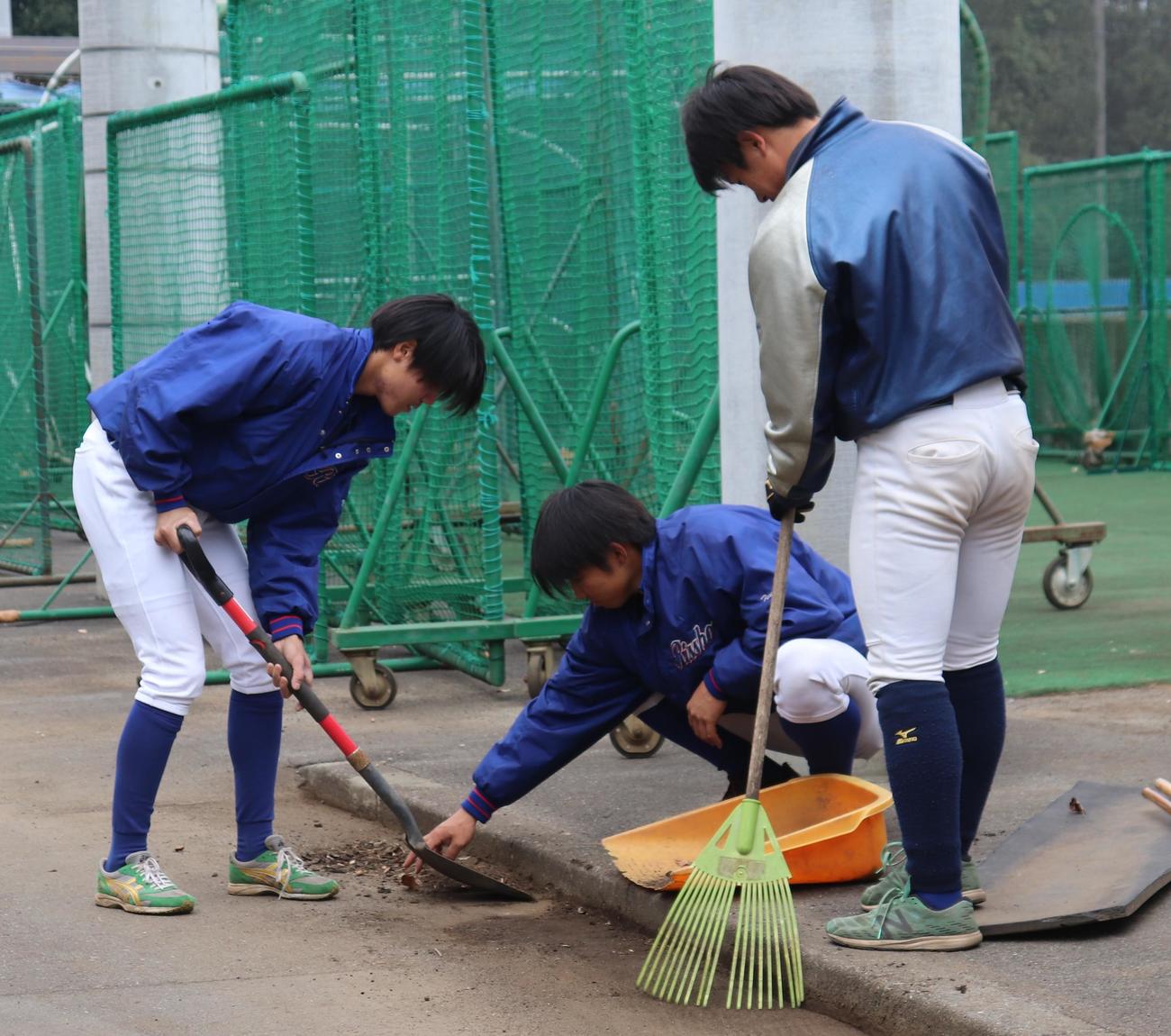 今年最後の練習を終え、球場を大掃除する立正大ナイン（撮影・古川真弥）