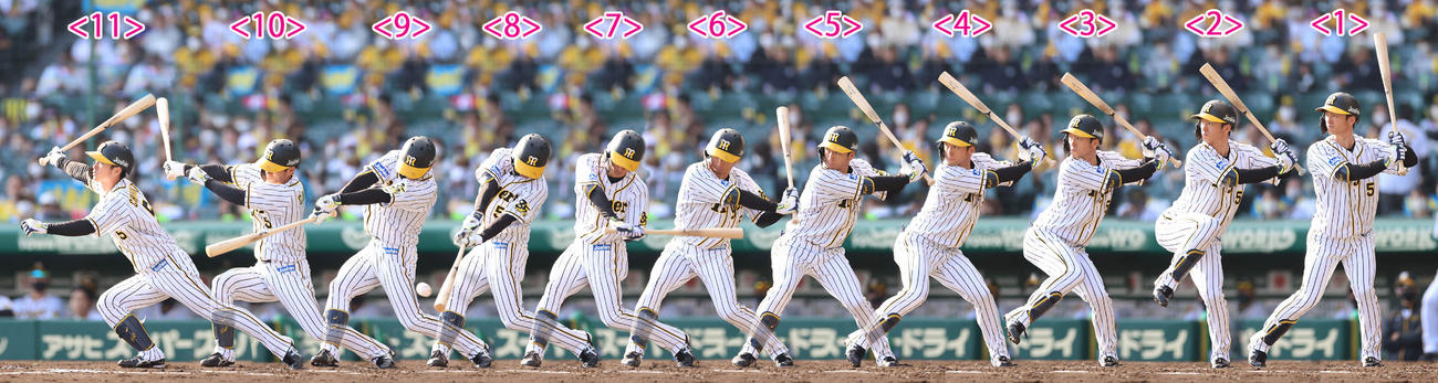 阪神近本は３割５分以上首位打者狙える 真弓明信 プロ野球 日刊スポーツ