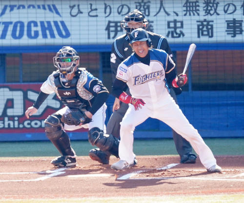プロ野球合同トライアウトの第3打席、二ゴロに倒れる新庄氏(撮影・江口和貴)