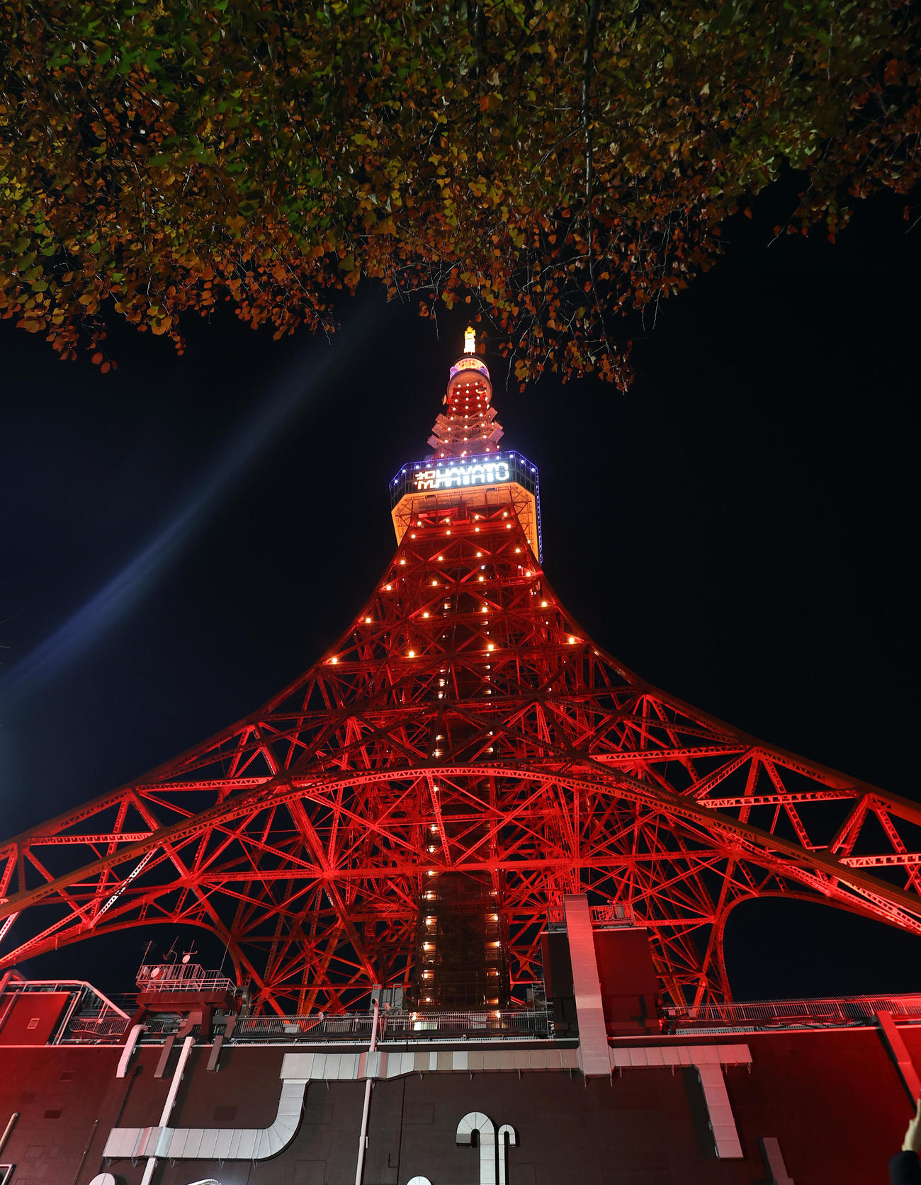 東京タワーは、巨人坂本勇人2000安打達成を祝福する特別ライトアップを行い、メインデッキに「祝HAYATO」の文字が点灯した（撮影・浅見桂子）
