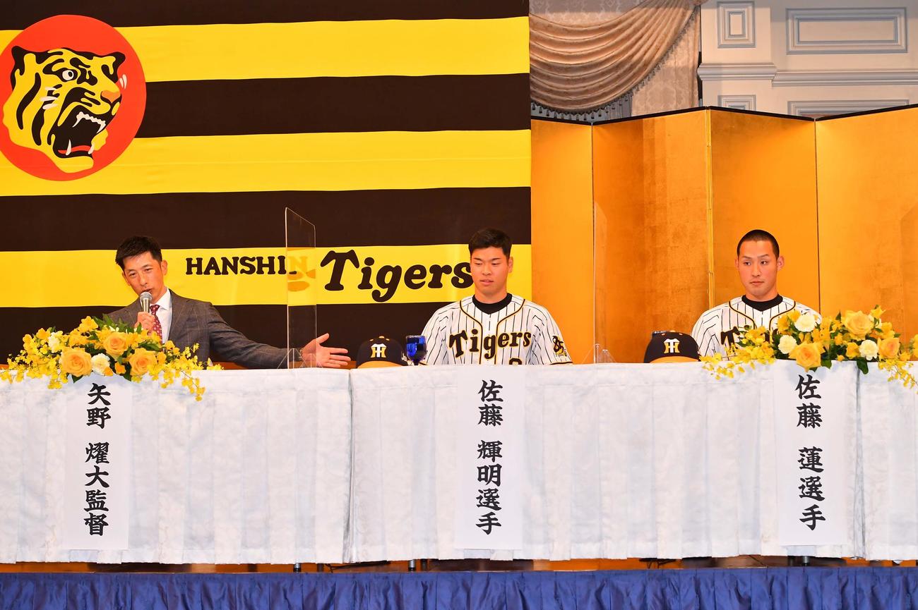 新入団発表会で矢野燿大監督（左）の期待を受ける佐藤輝明（中央）と佐藤蓮（撮影・上田博志）